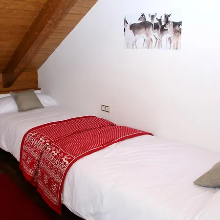 Apartaments Lo Paller Valencia D'Aneu